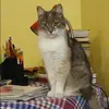 Отзыв от Яна Блохина